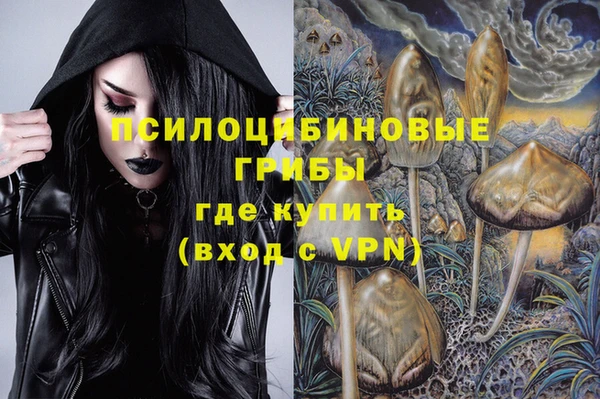 молекула духа Куйбышев